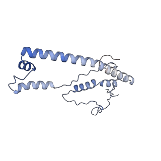 13661_7pub_CU_v1-0
Late assembly intermediate of the Trypanosoma brucei mitoribosomal small subunit
