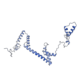 13661_7pub_Cb_v1-0
Late assembly intermediate of the Trypanosoma brucei mitoribosomal small subunit
