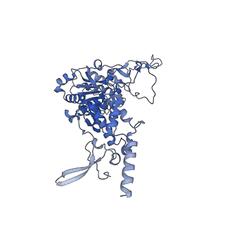 13661_7pub_Cg_v1-0
Late assembly intermediate of the Trypanosoma brucei mitoribosomal small subunit