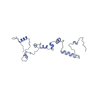 13661_7pub_Ci_v1-0
Late assembly intermediate of the Trypanosoma brucei mitoribosomal small subunit