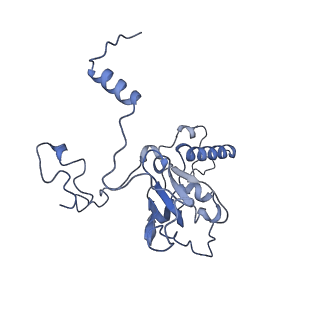 13661_7pub_Cj_v1-0
Late assembly intermediate of the Trypanosoma brucei mitoribosomal small subunit