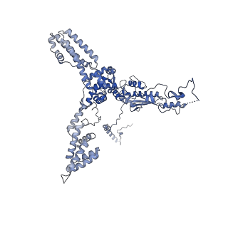 13661_7pub_Ck_v1-0
Late assembly intermediate of the Trypanosoma brucei mitoribosomal small subunit