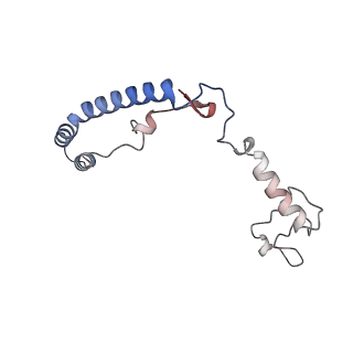 13661_7pub_Cm_v1-0
Late assembly intermediate of the Trypanosoma brucei mitoribosomal small subunit