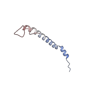 13661_7pub_Cn_v1-0
Late assembly intermediate of the Trypanosoma brucei mitoribosomal small subunit