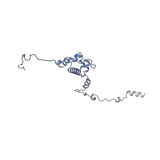 13661_7pub_Cp_v1-0
Late assembly intermediate of the Trypanosoma brucei mitoribosomal small subunit