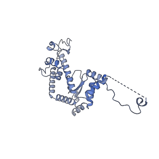 13661_7pub_Cr_v1-0
Late assembly intermediate of the Trypanosoma brucei mitoribosomal small subunit