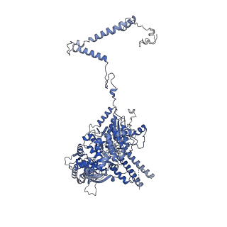 13661_7pub_Cv_v1-0
Late assembly intermediate of the Trypanosoma brucei mitoribosomal small subunit