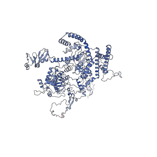 13661_7pub_DB_v1-0
Late assembly intermediate of the Trypanosoma brucei mitoribosomal small subunit