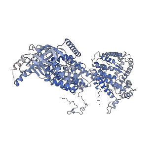 13661_7pub_DC_v1-0
Late assembly intermediate of the Trypanosoma brucei mitoribosomal small subunit