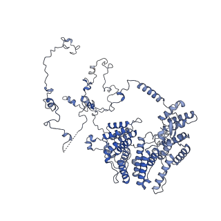 13661_7pub_DD_v1-0
Late assembly intermediate of the Trypanosoma brucei mitoribosomal small subunit