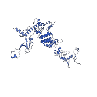 13661_7pub_DF_v1-0
Late assembly intermediate of the Trypanosoma brucei mitoribosomal small subunit
