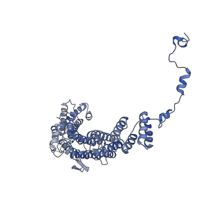 13661_7pub_DG_v1-0
Late assembly intermediate of the Trypanosoma brucei mitoribosomal small subunit