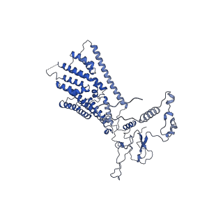 13661_7pub_DH_v1-0
Late assembly intermediate of the Trypanosoma brucei mitoribosomal small subunit