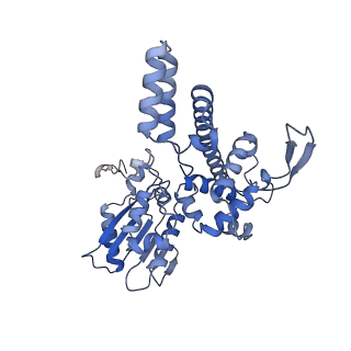 13661_7pub_DI_v1-0
Late assembly intermediate of the Trypanosoma brucei mitoribosomal small subunit