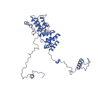 13661_7pub_DJ_v1-0
Late assembly intermediate of the Trypanosoma brucei mitoribosomal small subunit