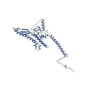 13661_7pub_DK_v1-0
Late assembly intermediate of the Trypanosoma brucei mitoribosomal small subunit