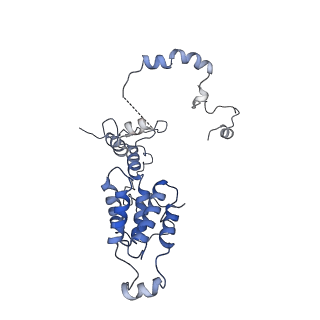 13661_7pub_DL_v1-0
Late assembly intermediate of the Trypanosoma brucei mitoribosomal small subunit