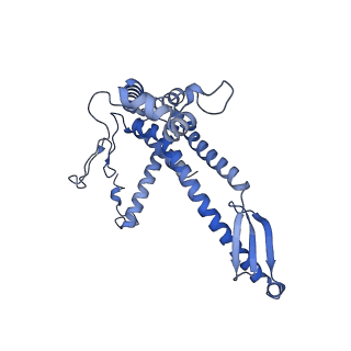 13661_7pub_DM_v1-0
Late assembly intermediate of the Trypanosoma brucei mitoribosomal small subunit