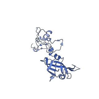 13661_7pub_DN_v1-0
Late assembly intermediate of the Trypanosoma brucei mitoribosomal small subunit