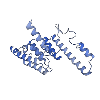 13661_7pub_DO_v1-0
Late assembly intermediate of the Trypanosoma brucei mitoribosomal small subunit