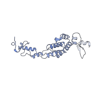 13661_7pub_DP_v1-0
Late assembly intermediate of the Trypanosoma brucei mitoribosomal small subunit