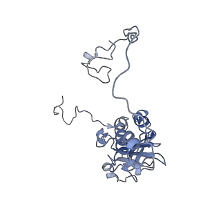 13661_7pub_DR_v1-0
Late assembly intermediate of the Trypanosoma brucei mitoribosomal small subunit