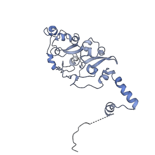 13661_7pub_DS_v1-0
Late assembly intermediate of the Trypanosoma brucei mitoribosomal small subunit