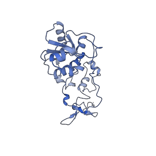 13661_7pub_DT_v1-0
Late assembly intermediate of the Trypanosoma brucei mitoribosomal small subunit