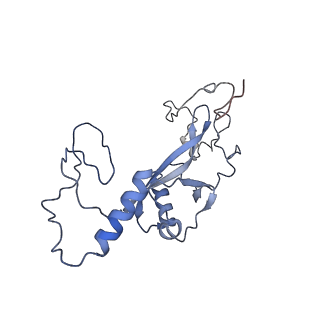 13661_7pub_DU_v1-0
Late assembly intermediate of the Trypanosoma brucei mitoribosomal small subunit