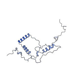 13661_7pub_DW_v1-0
Late assembly intermediate of the Trypanosoma brucei mitoribosomal small subunit