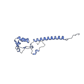 13661_7pub_DX_v1-0
Late assembly intermediate of the Trypanosoma brucei mitoribosomal small subunit