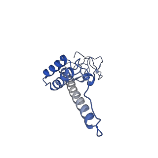 13661_7pub_DY_v1-0
Late assembly intermediate of the Trypanosoma brucei mitoribosomal small subunit