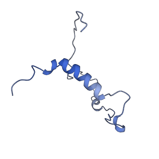 13661_7pub_DZ_v1-0
Late assembly intermediate of the Trypanosoma brucei mitoribosomal small subunit
