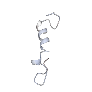 13661_7pub_Da_v1-0
Late assembly intermediate of the Trypanosoma brucei mitoribosomal small subunit
