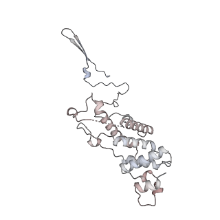 13661_7pub_F3_v1-0
Late assembly intermediate of the Trypanosoma brucei mitoribosomal small subunit