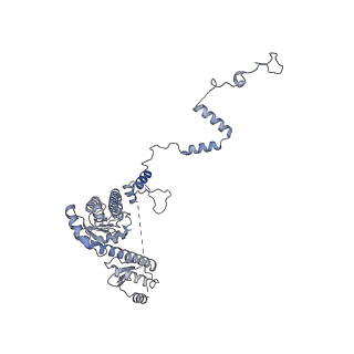 13661_7pub_F6_v1-0
Late assembly intermediate of the Trypanosoma brucei mitoribosomal small subunit