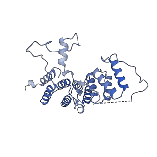 13661_7pub_FO_v1-0
Late assembly intermediate of the Trypanosoma brucei mitoribosomal small subunit