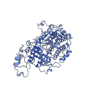 13661_7pub_Ff_v1-0
Late assembly intermediate of the Trypanosoma brucei mitoribosomal small subunit