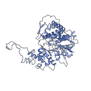 13661_7pub_Fg_v1-0
Late assembly intermediate of the Trypanosoma brucei mitoribosomal small subunit