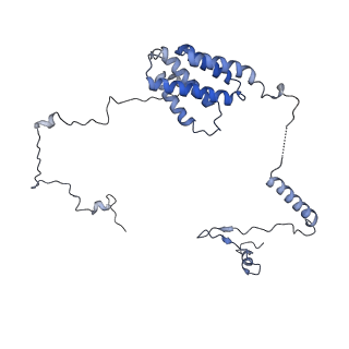 13661_7pub_Fh_v1-0
Late assembly intermediate of the Trypanosoma brucei mitoribosomal small subunit