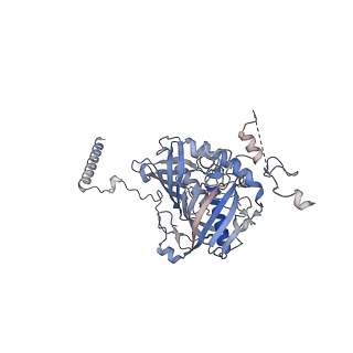 13661_7pub_Fi_v1-0
Late assembly intermediate of the Trypanosoma brucei mitoribosomal small subunit