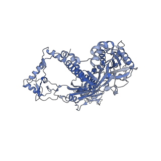 13661_7pub_IA_v1-0
Late assembly intermediate of the Trypanosoma brucei mitoribosomal small subunit