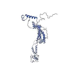 13661_7pub_IB_v1-0
Late assembly intermediate of the Trypanosoma brucei mitoribosomal small subunit