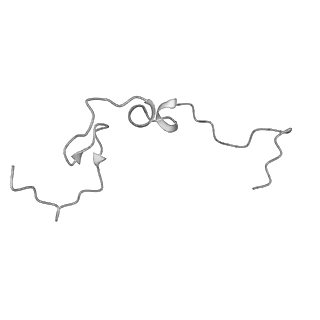 13661_7pub_UE_v1-0
Late assembly intermediate of the Trypanosoma brucei mitoribosomal small subunit