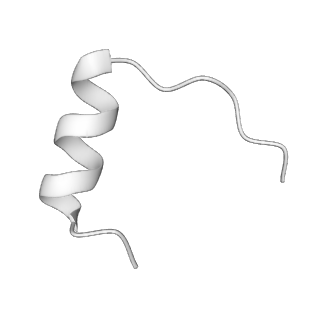 13661_7pub_UL_v1-0
Late assembly intermediate of the Trypanosoma brucei mitoribosomal small subunit