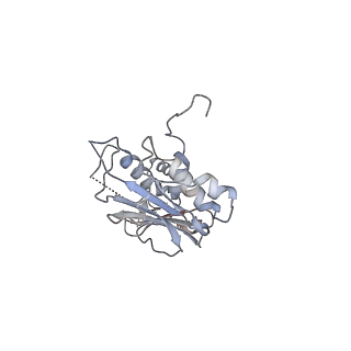 13662_7puy_A_v1-2
Structure of the membrane soluble spike complex from the Lassa virus in a C3-symmetric map
