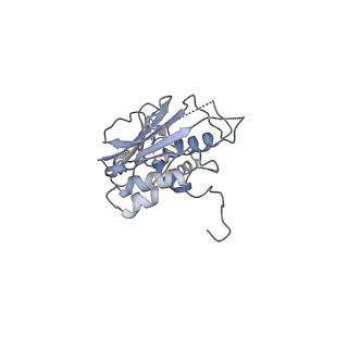 13662_7puy_B_v1-2
Structure of the membrane soluble spike complex from the Lassa virus in a C3-symmetric map