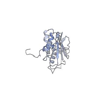 13662_7puy_C_v1-2
Structure of the membrane soluble spike complex from the Lassa virus in a C3-symmetric map