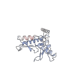 13662_7puy_a_v1-2
Structure of the membrane soluble spike complex from the Lassa virus in a C3-symmetric map