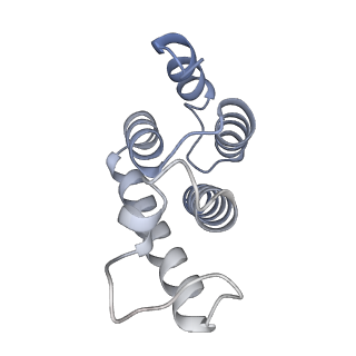 17930_8pu7_A_v1-0
Structure of immature HTLV-1 CA-NTD from in vitro assembled MA126-CANC tubes: axis angle -20 degrees